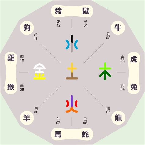 辰屬金|【辰 屬性】生肖屬辰是什麼屬性？十二地支辰五行屬什麼？